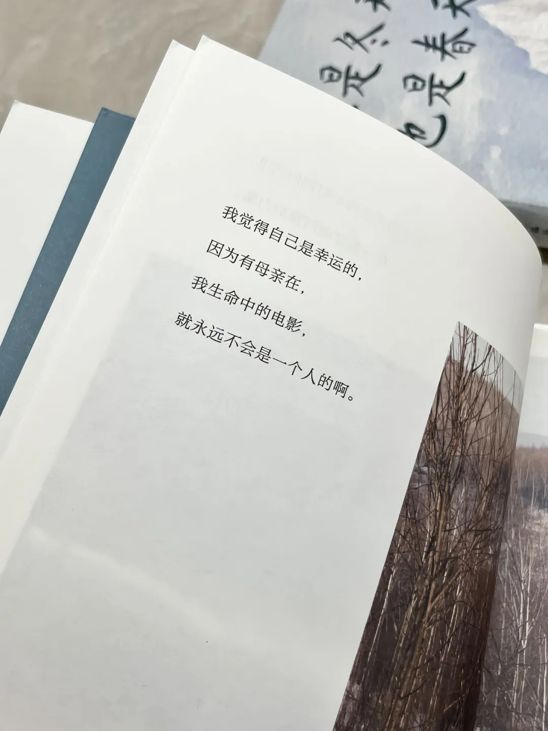 让人沦陷的文笔！直接全文摘抄！