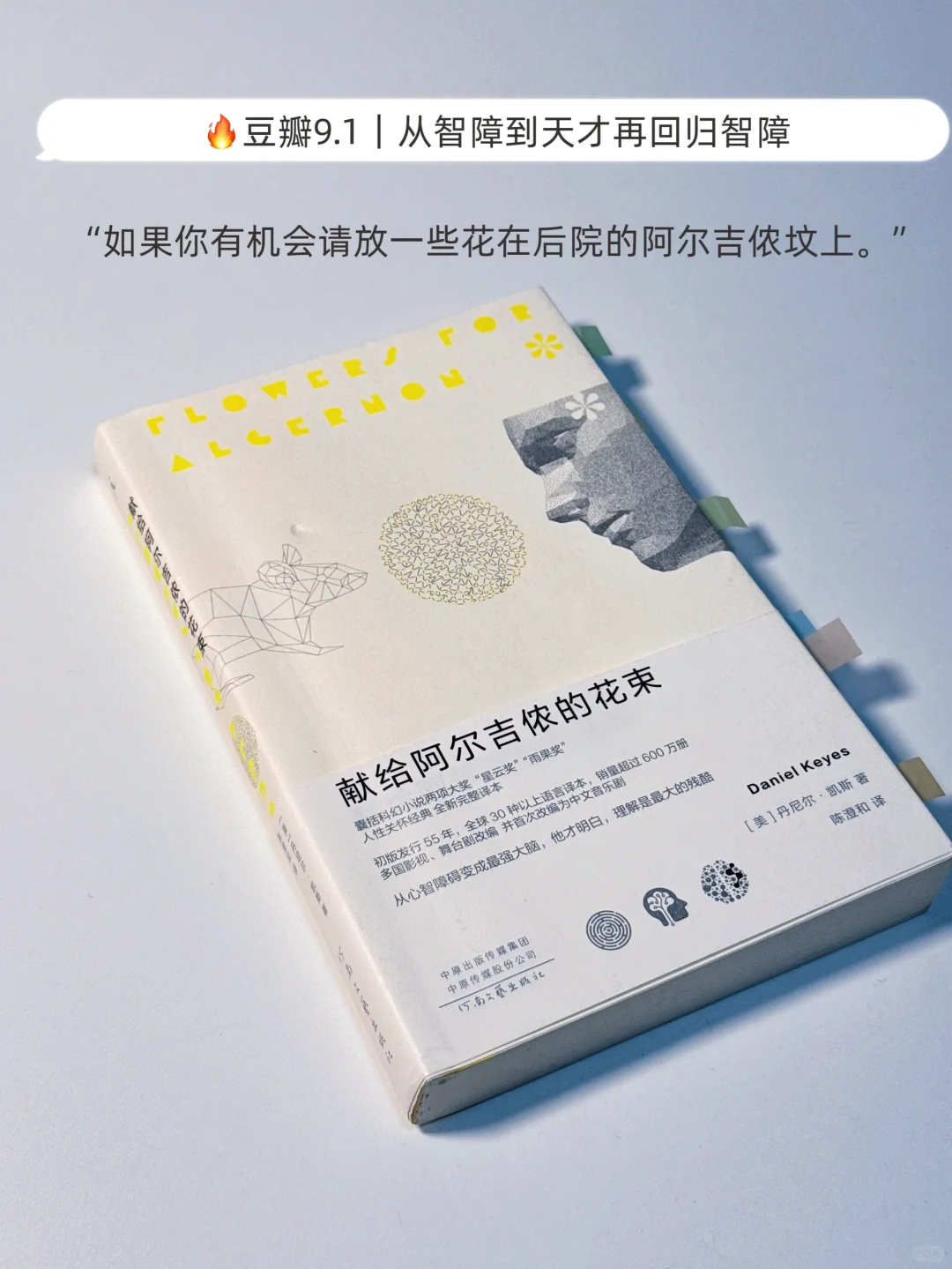 📖读一次哭一次｜6本看透人性脆弱的破防书单