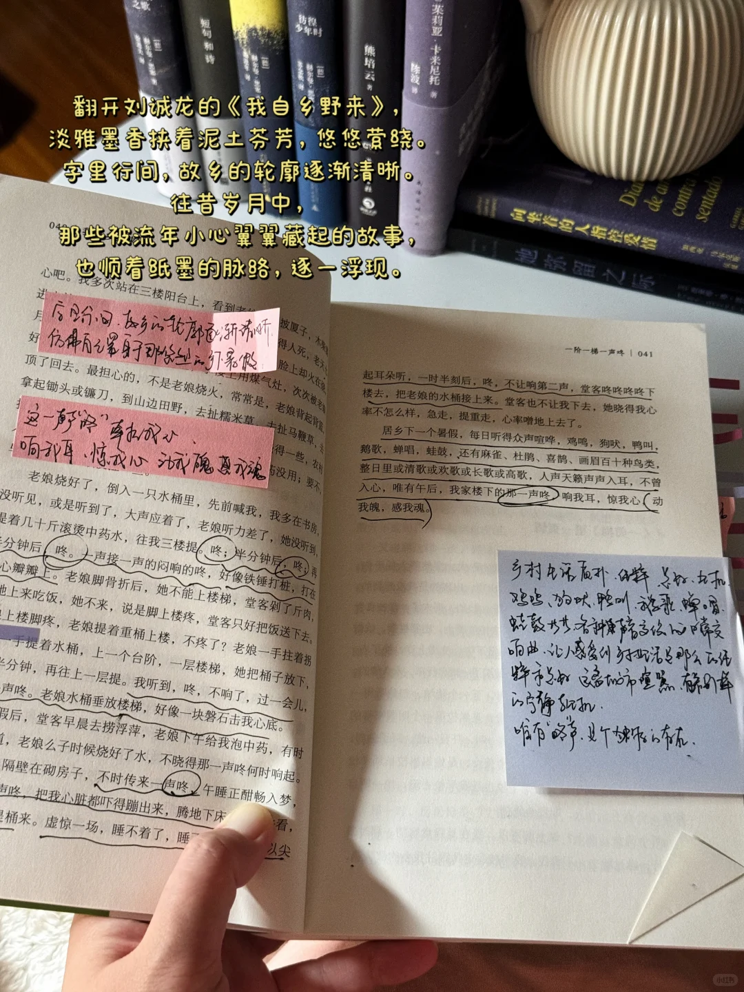 死磕这5本散文书，文笔真的可以脱胎换骨！