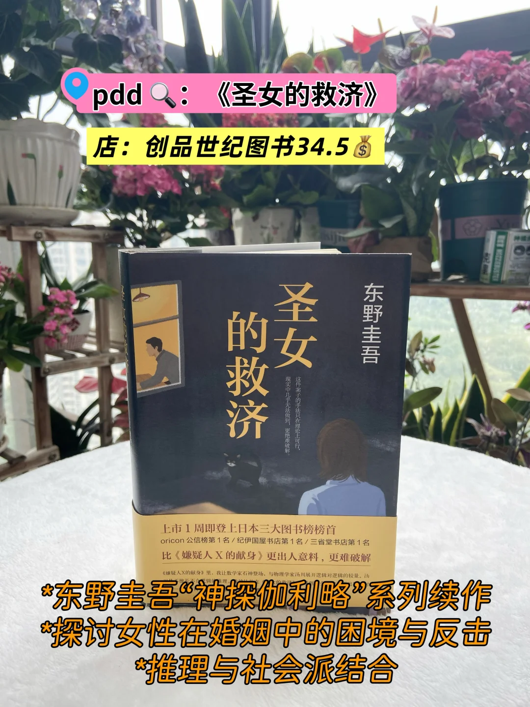 盘点高考后追过的那些书……