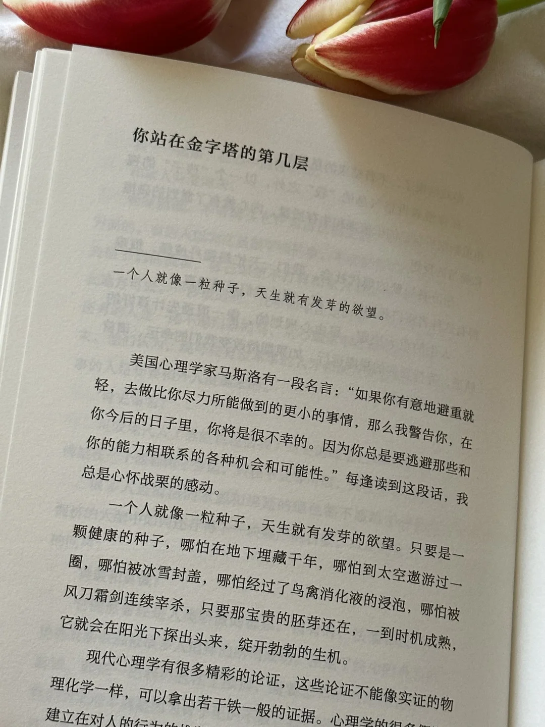 怎么会有这么治愈的书啊，我太太爱了💙