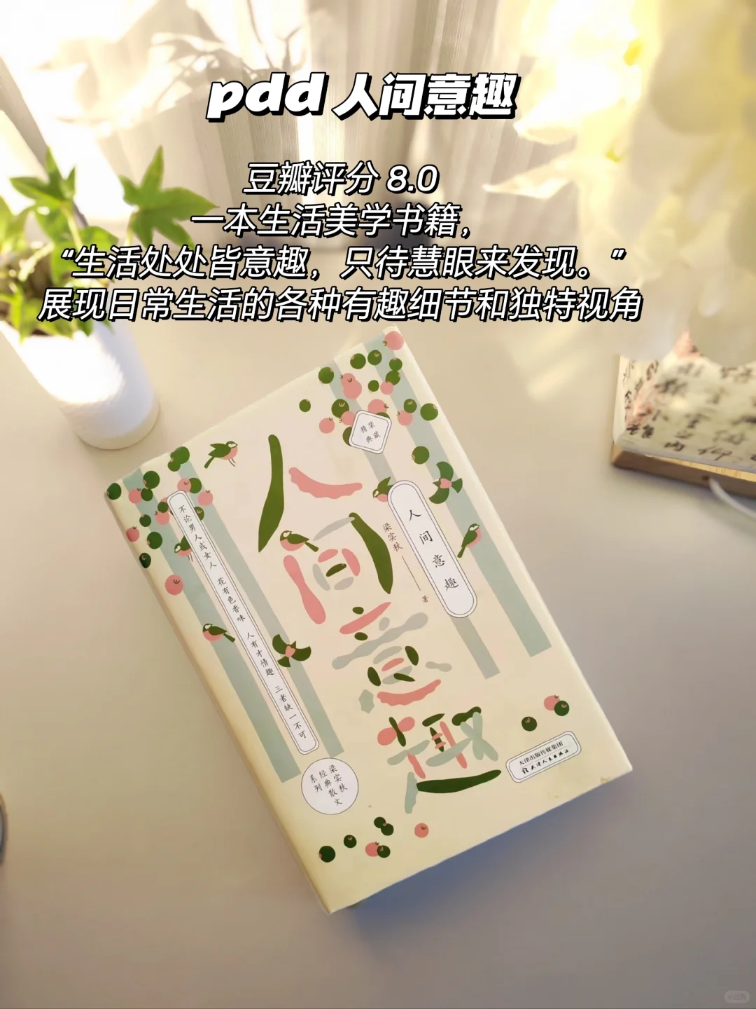 pdd书单分享｜拒绝焦绿的夏日清凉书单
