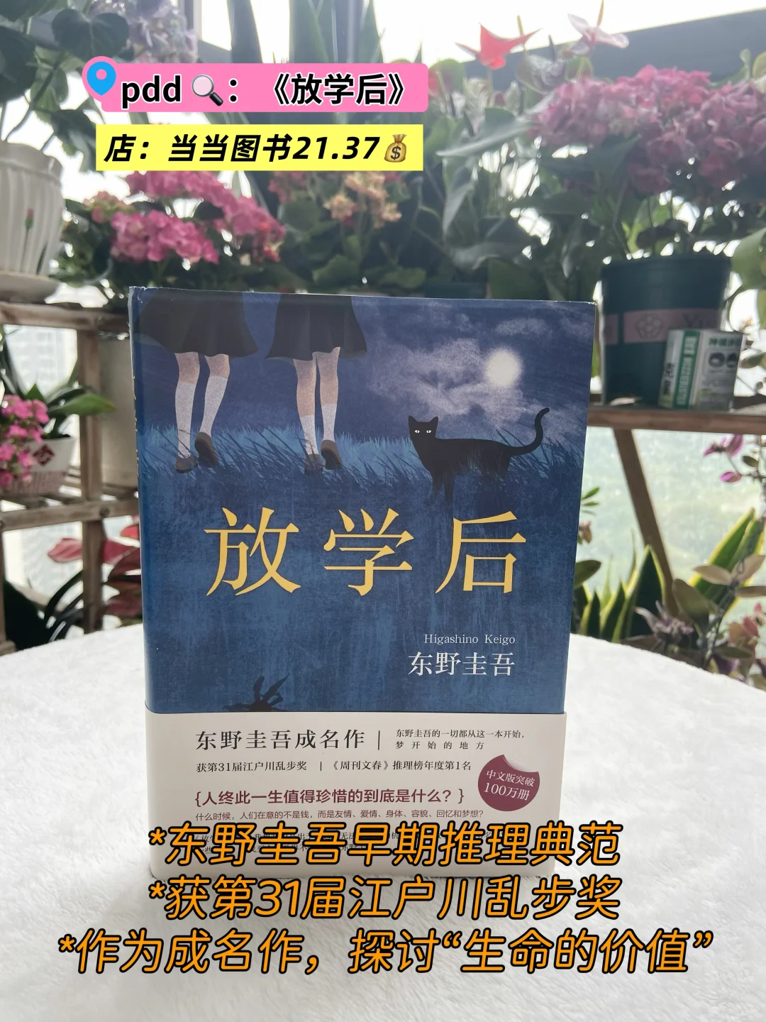 盘点高考后追过的那些书……