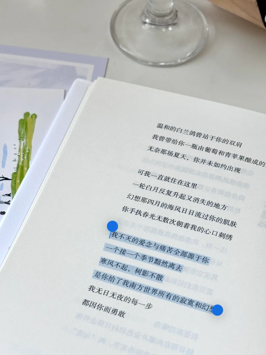 夏日诗集｜我苦等的夏天也终将离开我的身体