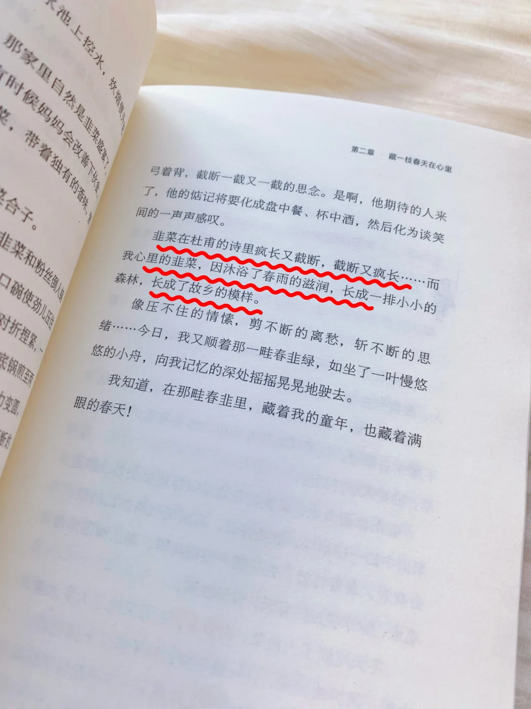狠狠沦陷！读到一本文笔超超超绝的散文书‼️