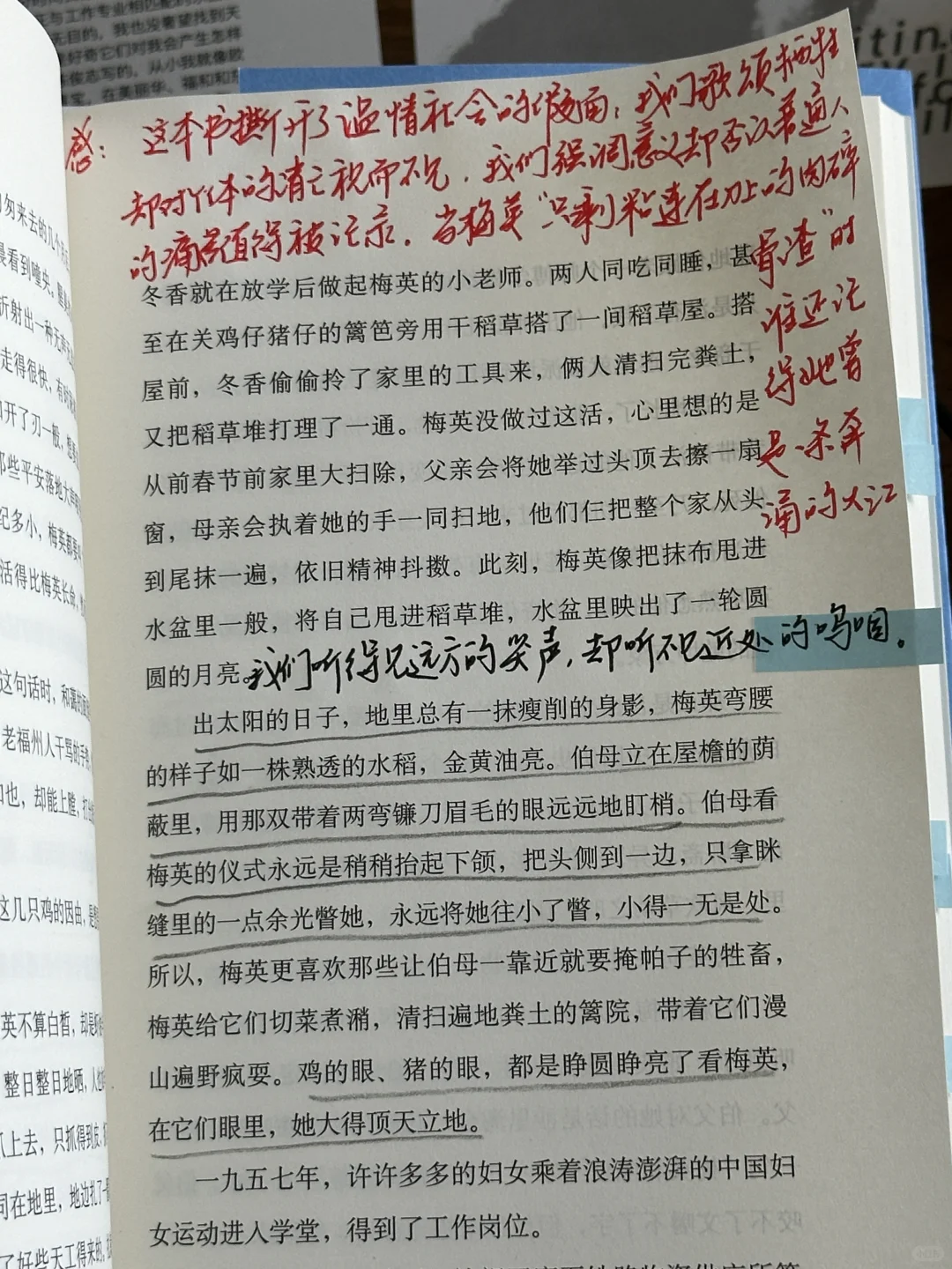 大半夜读到泪奔😭也太太太太会写了！！