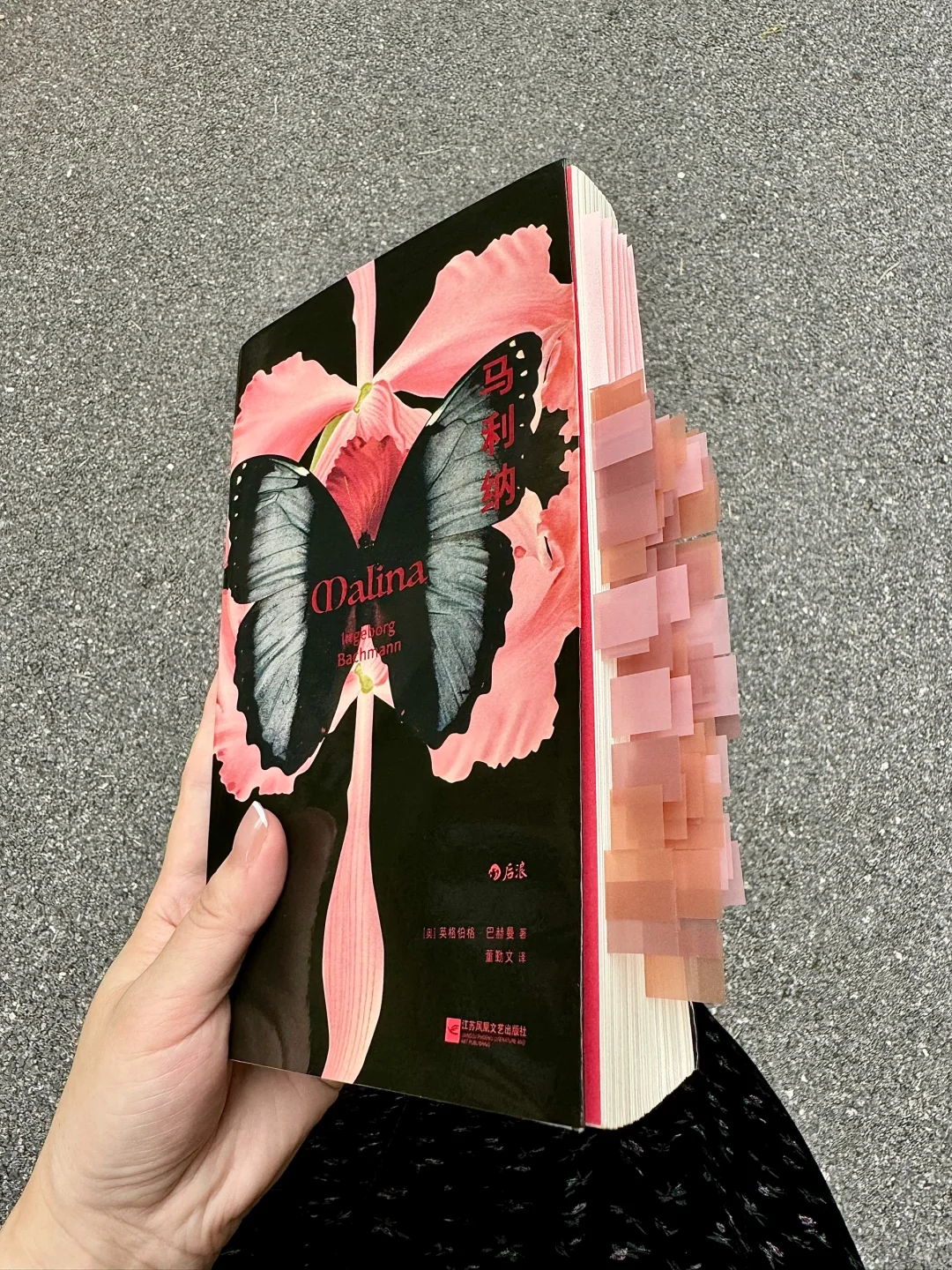 谁懂啊！我真的好爱这本女性文学啊！！
