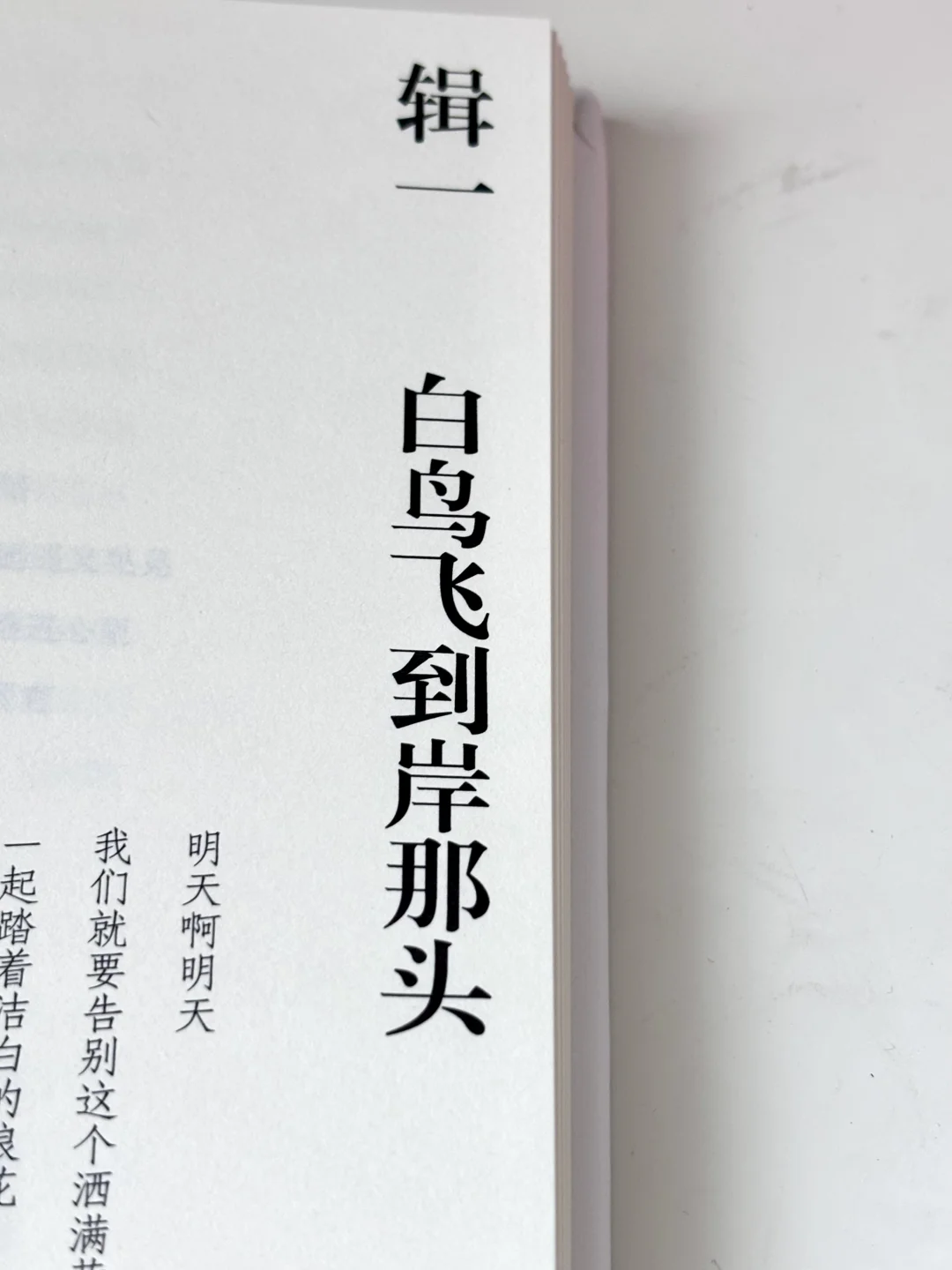 夏日诗集｜我苦等的夏天也终将离开我的身体