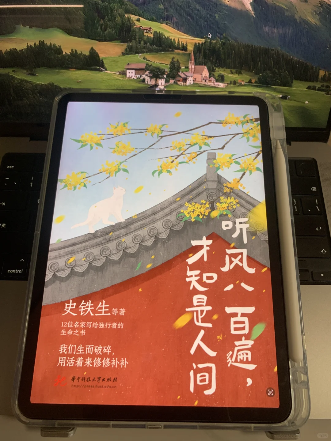 我该不是最后一个知道这个的吧！
