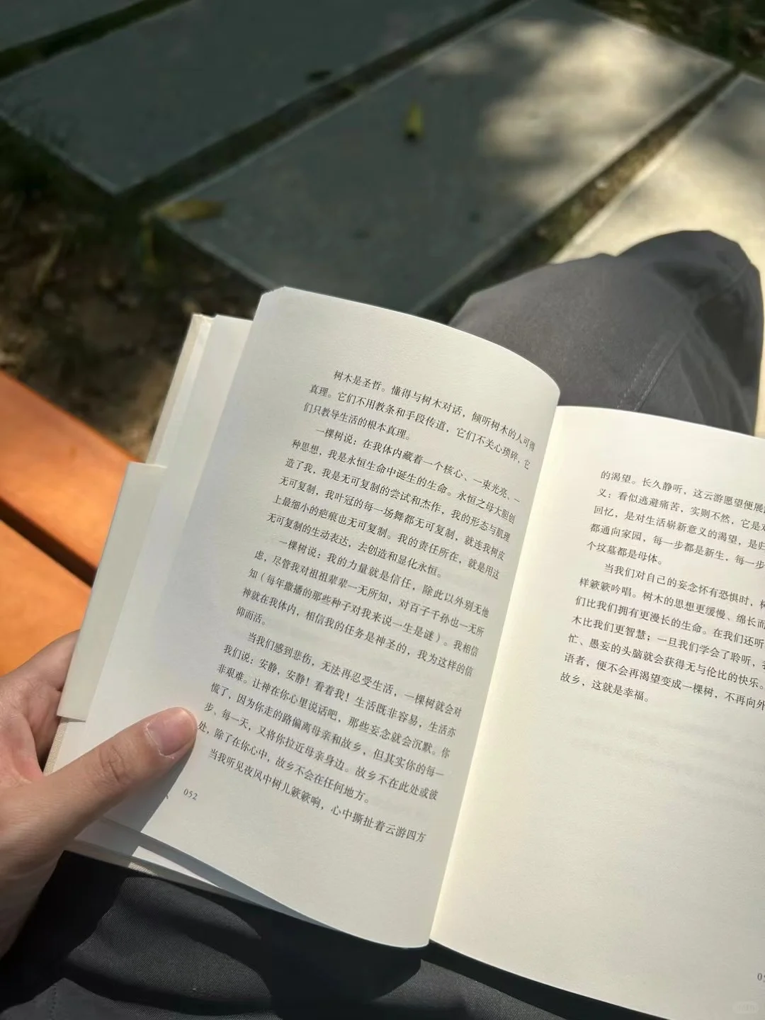 最近在读什么书