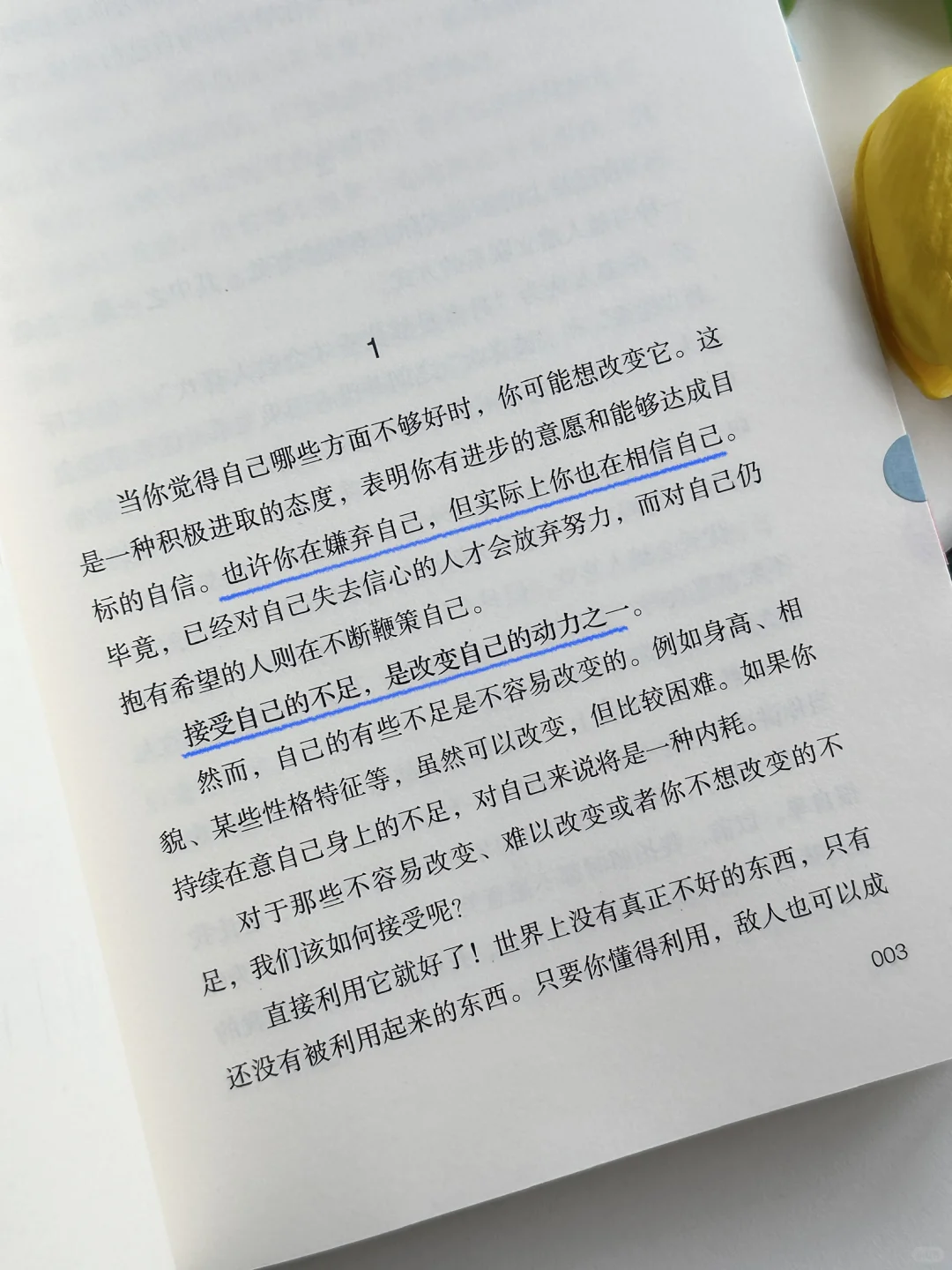 温暖又治愈✨求求自卑敏感拧巴的女生往烂了