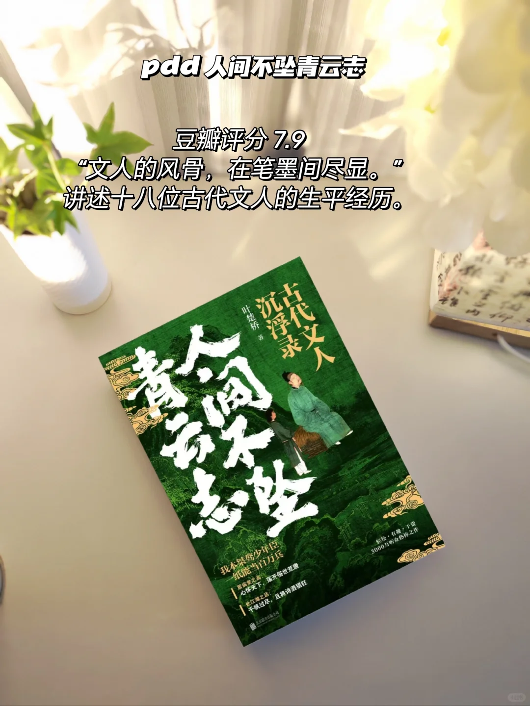 pdd书单分享｜拒绝焦绿的夏日清凉书单