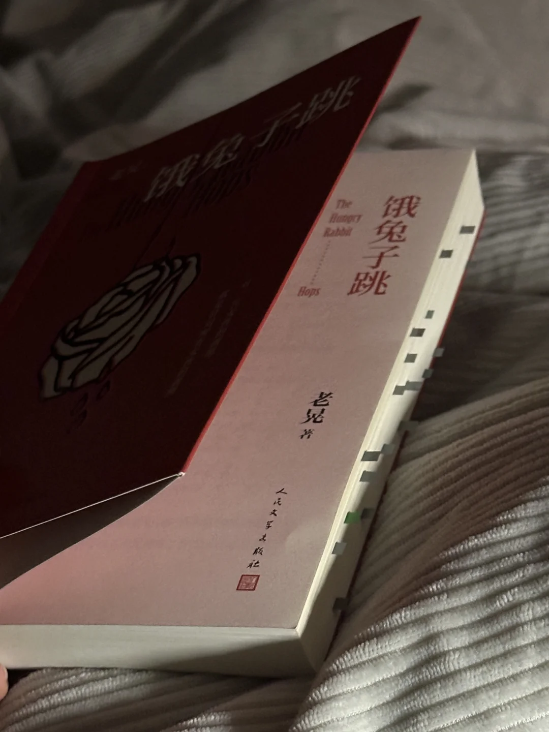 啊啊啊啊啊好好看!!