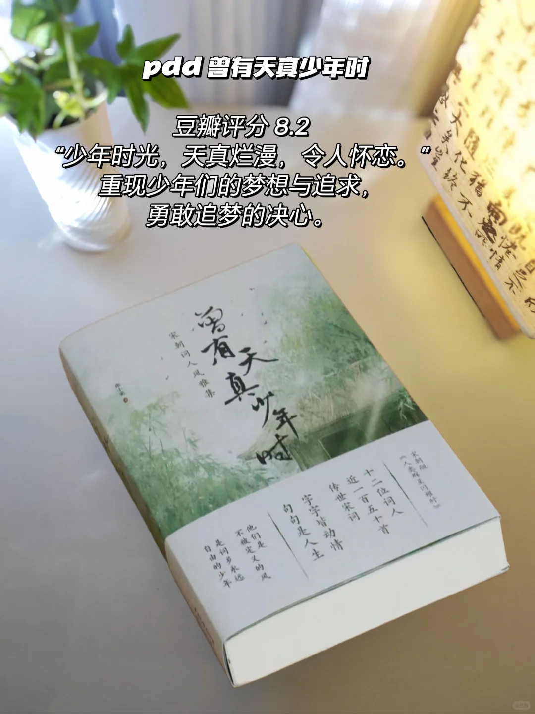 pdd书单分享｜拒绝焦绿的夏日清凉书单