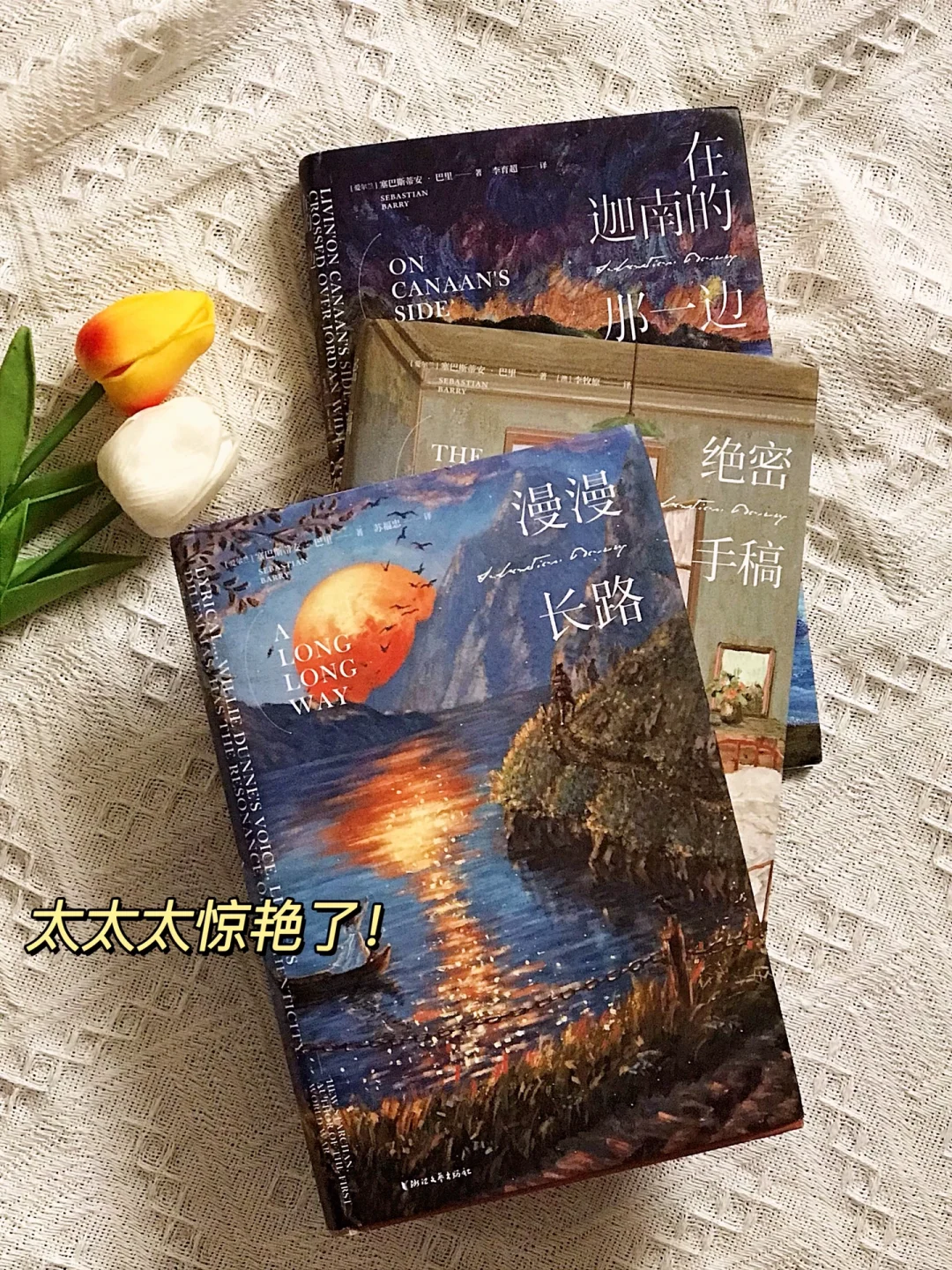 这套书太太惊艳了❕可我却不敢再看第二遍😭