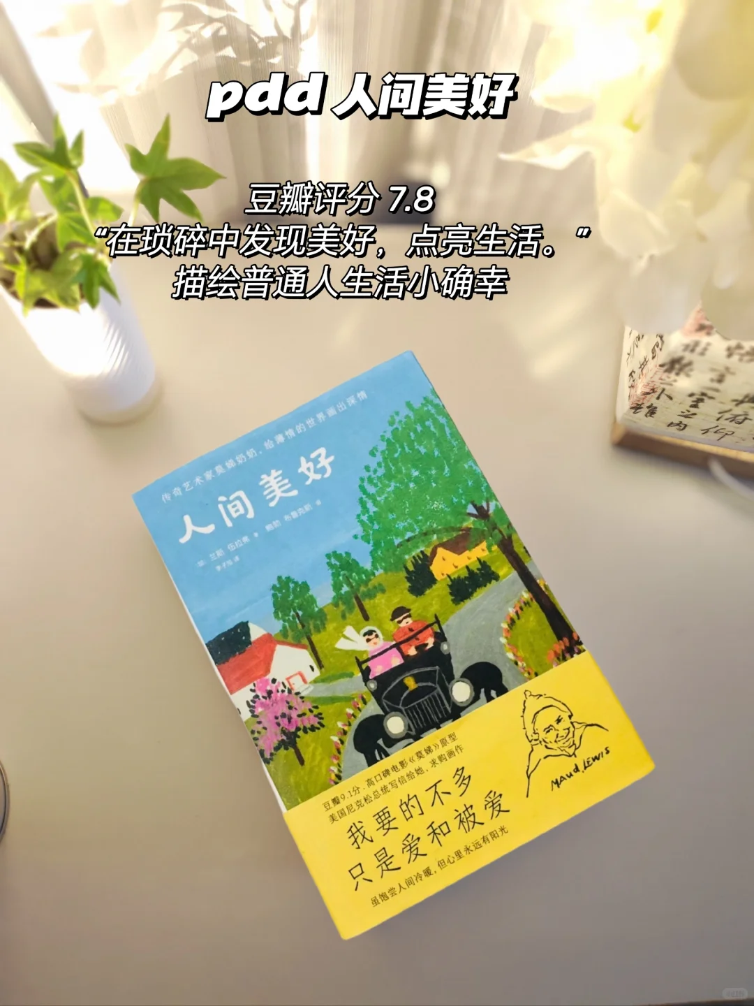 pdd书单分享｜拒绝焦绿的夏日清凉书单