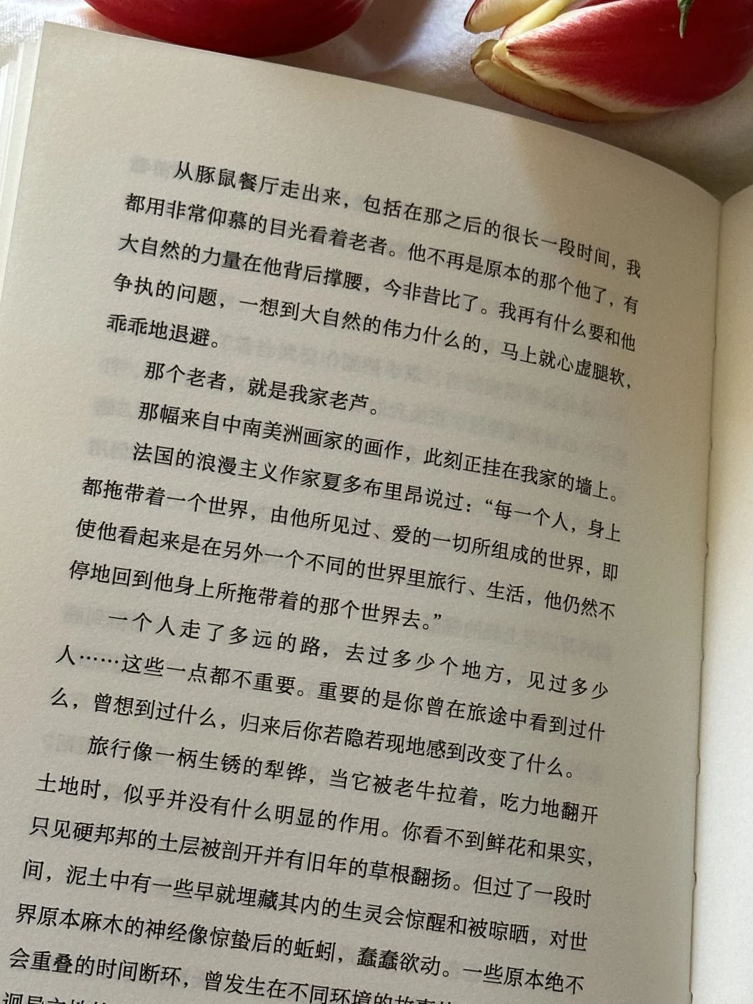 怎么会有这么治愈的书啊，我太太爱了💙