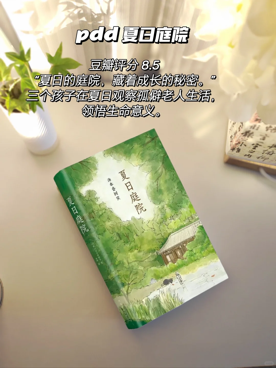pdd书单分享｜拒绝焦绿的夏日清凉书单