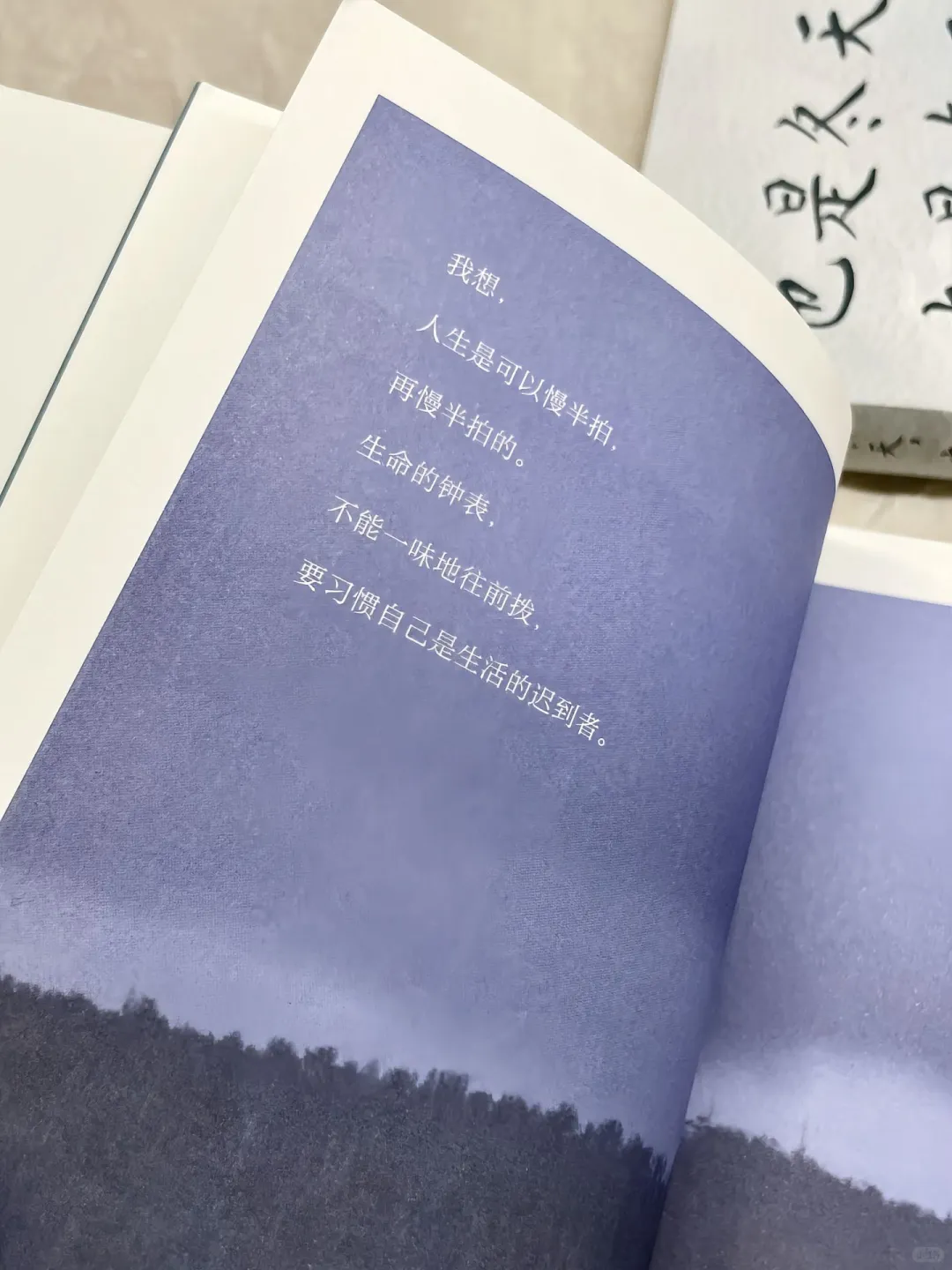 让人沦陷的文笔！直接全文摘抄！