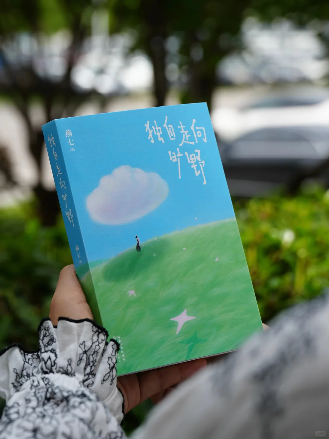一本书被明星推荐之后……