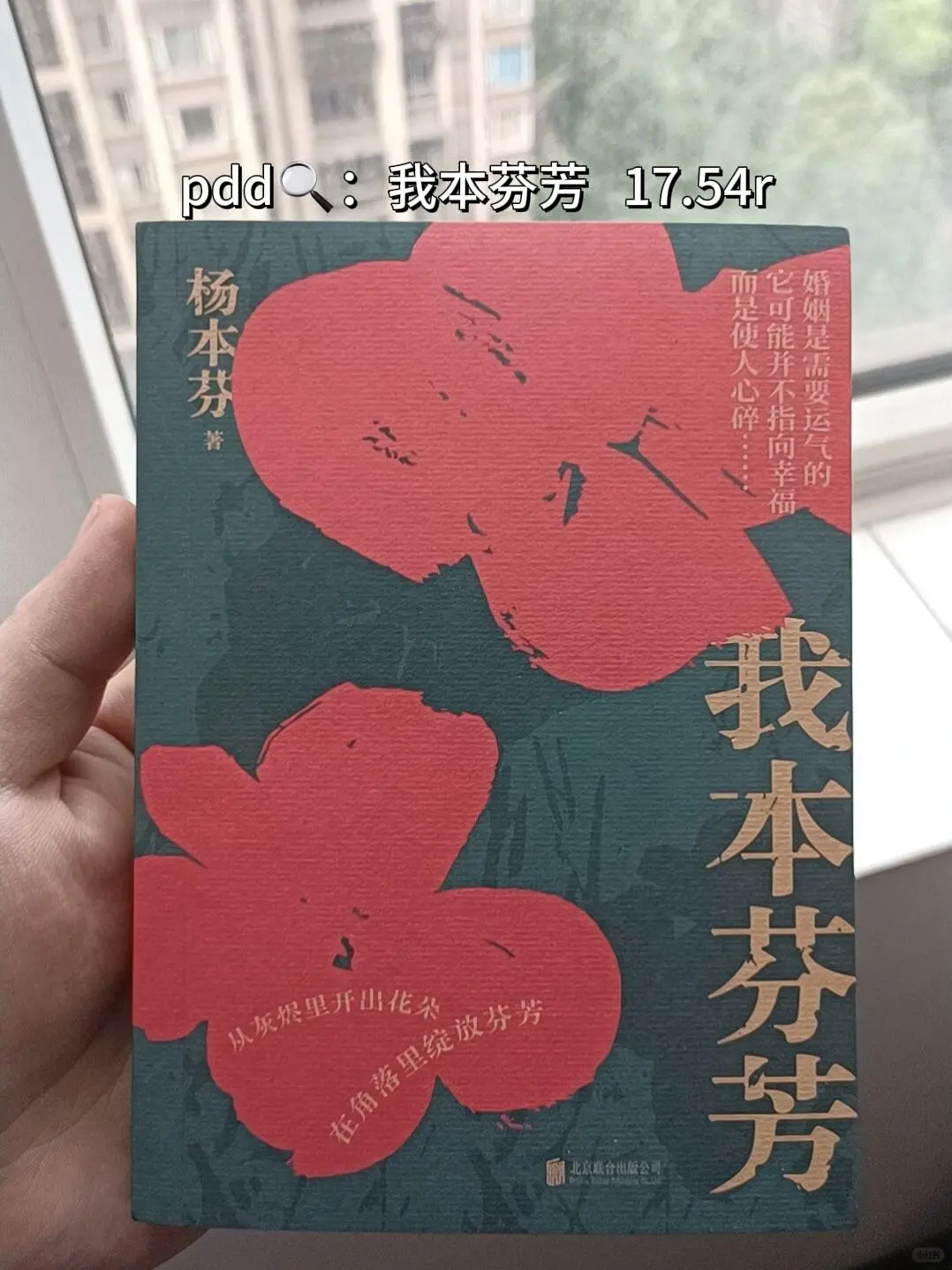 书单推荐❤️超超超适合下班后窝在沙发看的书