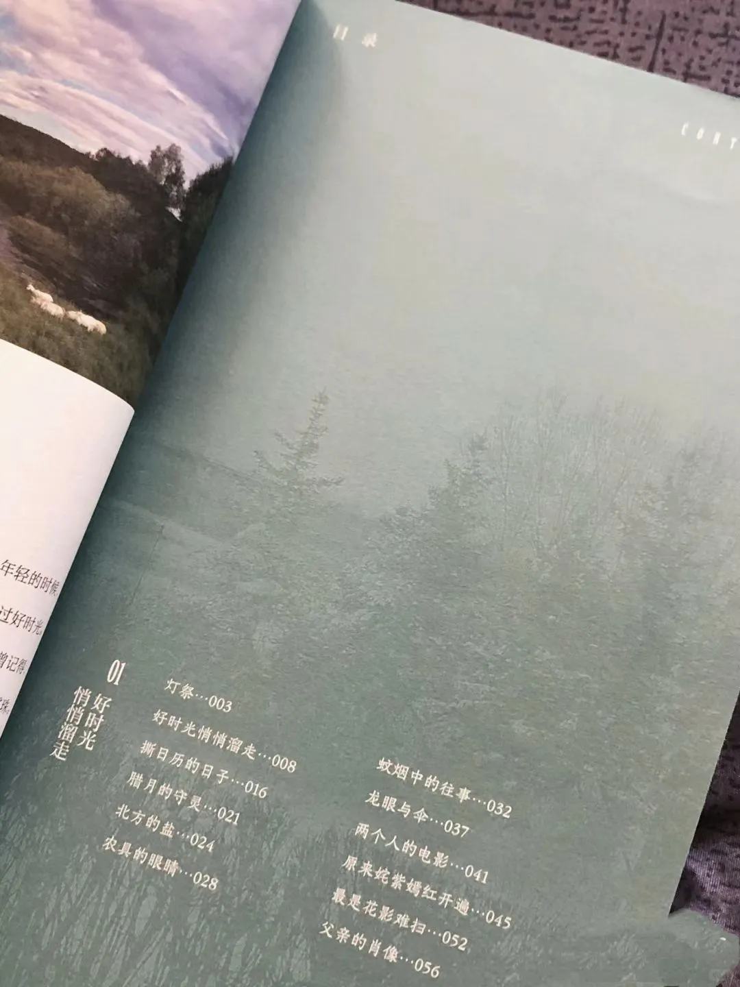 让人沦陷的文笔！直接全文摘抄！