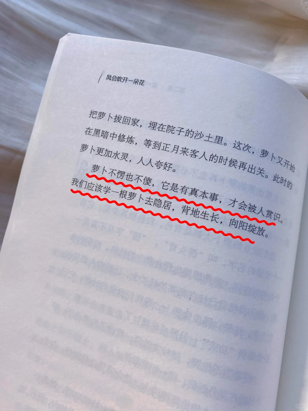 狠狠沦陷！读到一本文笔超超超绝的散文书‼️