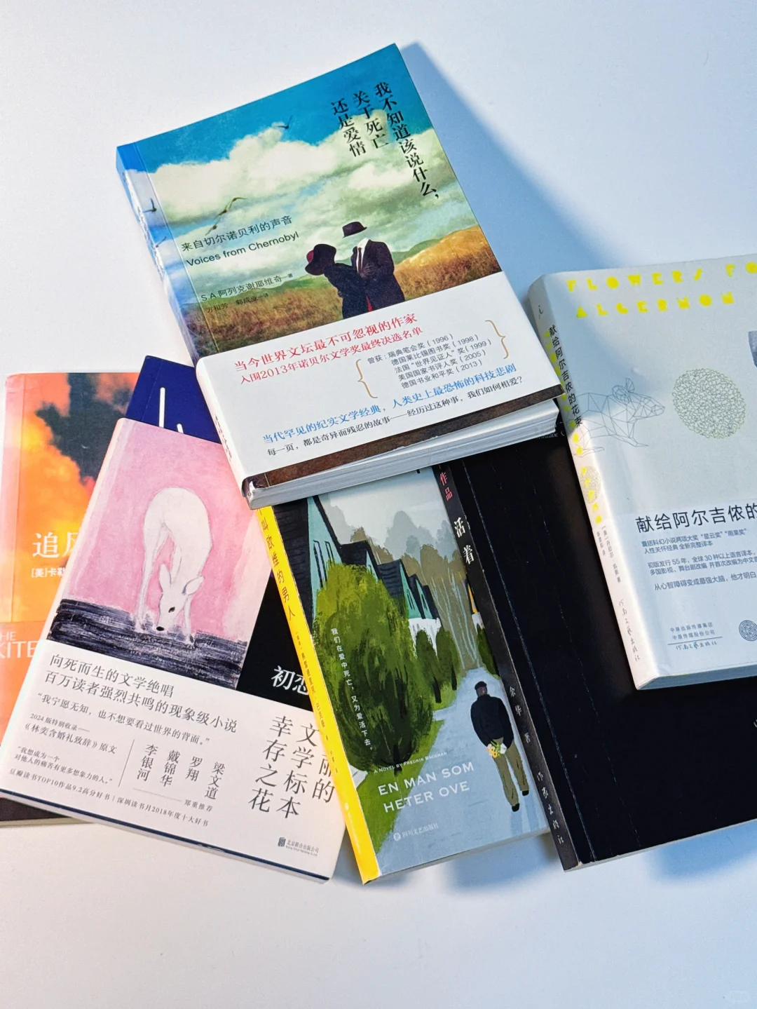 📖读一次哭一次｜6本看透人性脆弱的破防书单