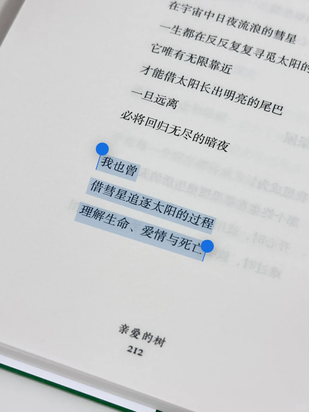 夏日诗集｜我苦等的夏天也终将离开我的身体
