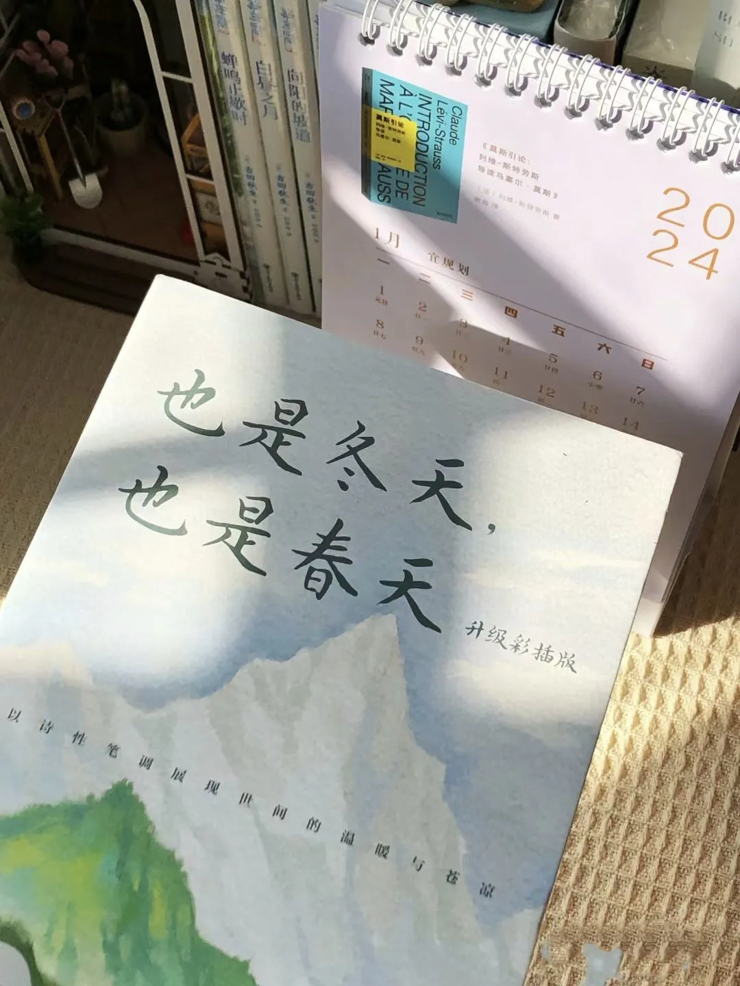 让人沦陷的文笔！直接全文摘抄！