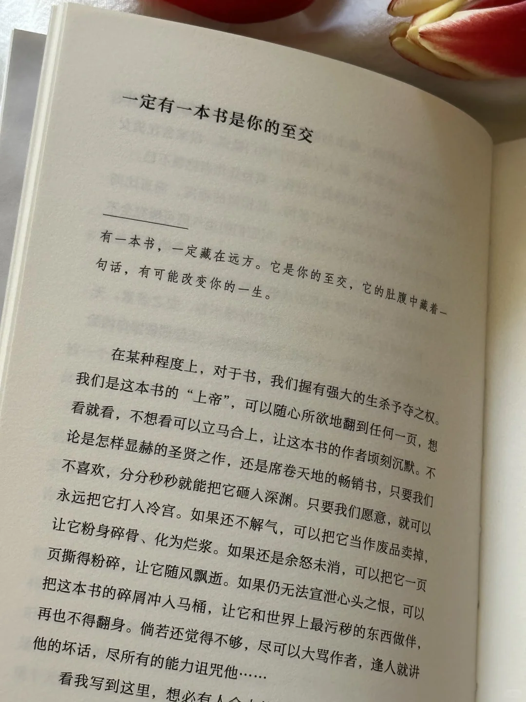 怎么会有这么治愈的书啊，我太太爱了💙