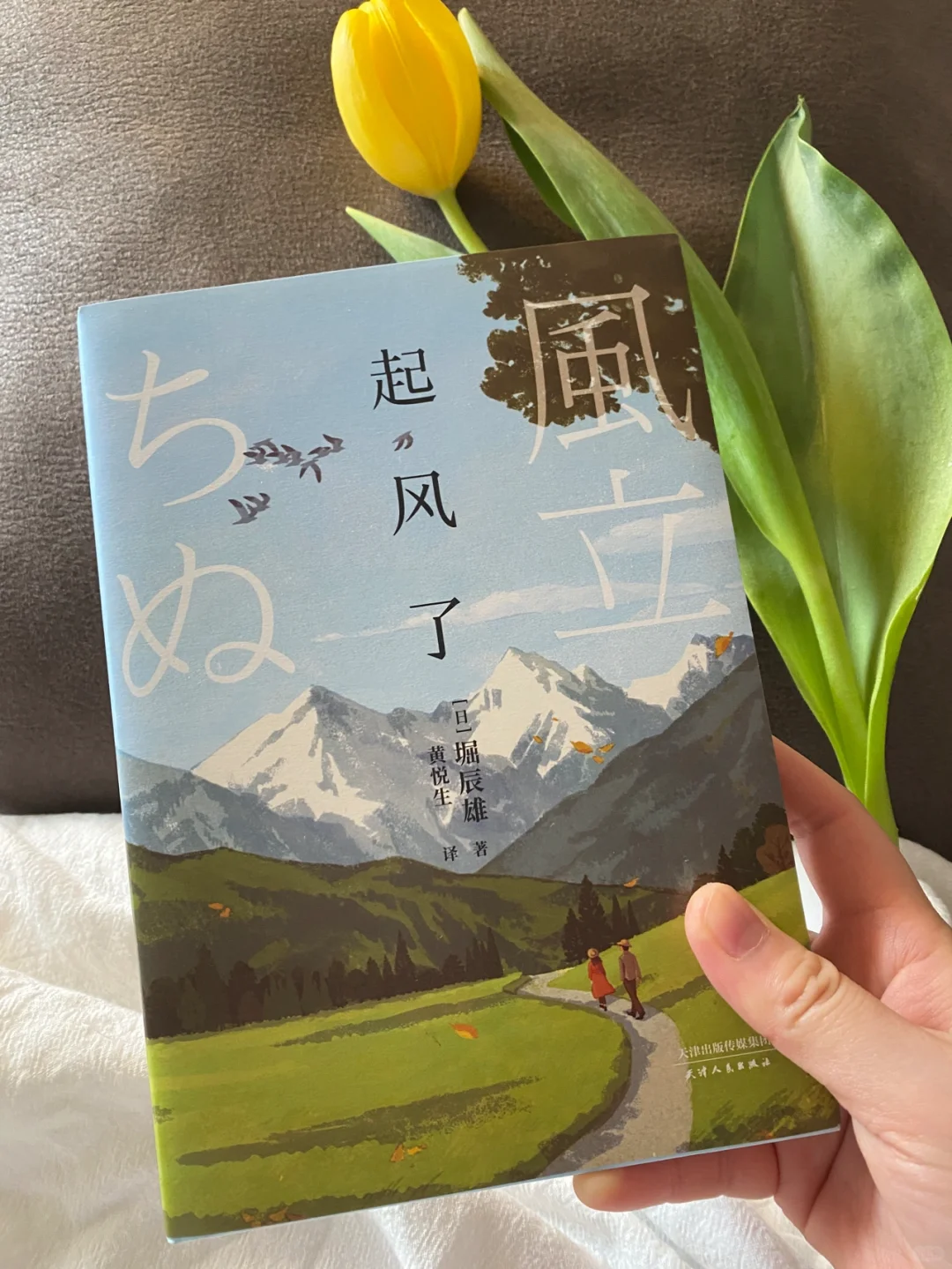 治愈书单|《起风了》学会和刻在心底的人告别