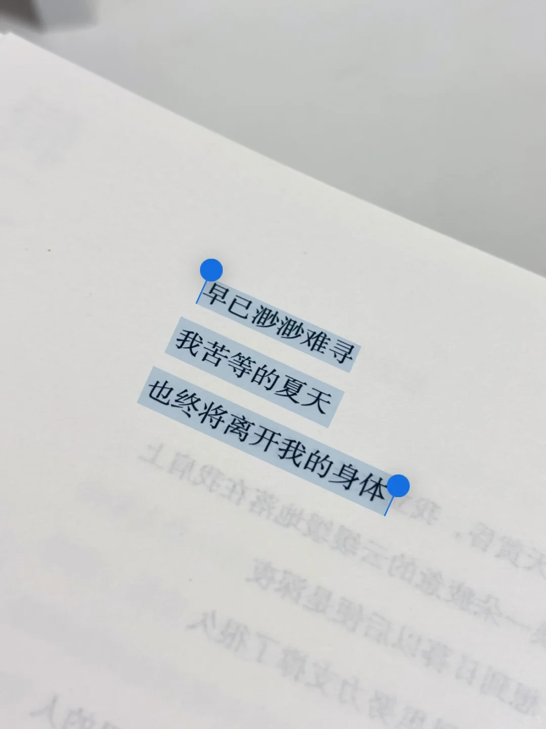 夏日诗集｜我苦等的夏天也终将离开我的身体