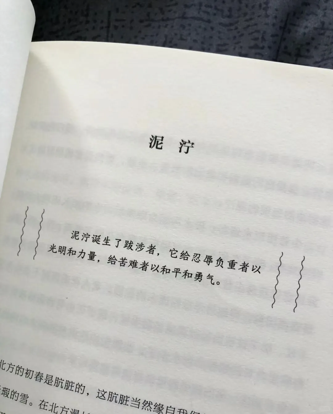 让人沦陷的文笔！直接全文摘抄！