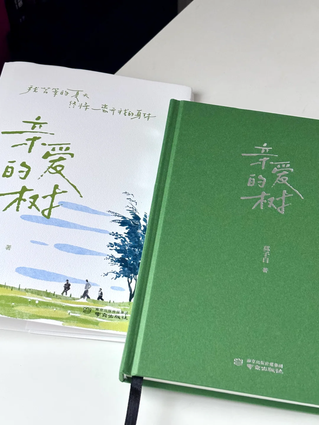 夏日诗集｜我苦等的夏天也终将离开我的身体
