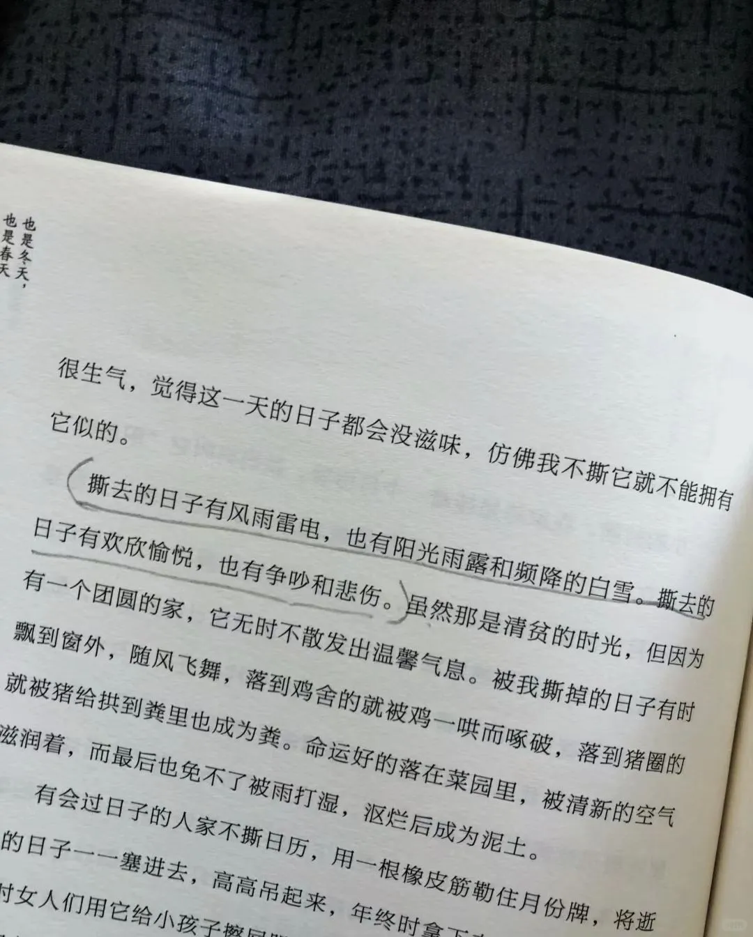 让人沦陷的文笔！直接全文摘抄！