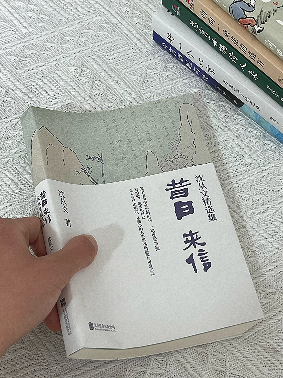 春日书单🍃翻看这几本书文笔真的会脱胎换骨