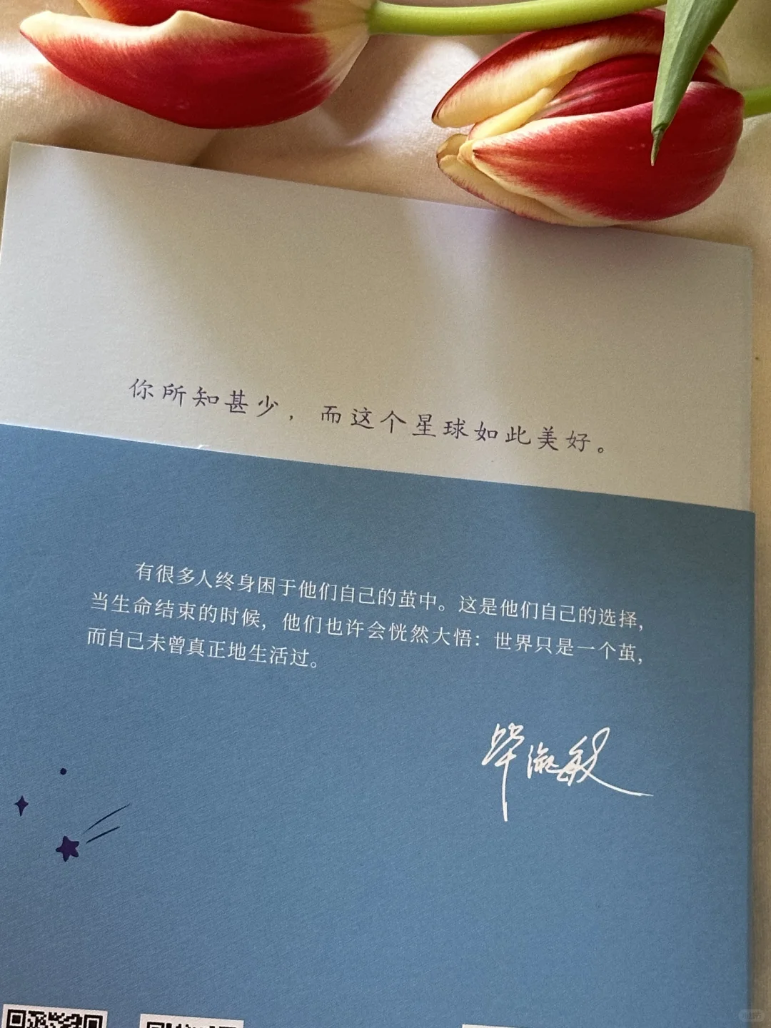怎么会有这么治愈的书啊，我太太爱了💙