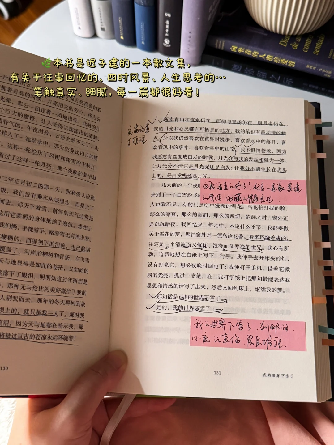 死磕这5本散文书，文笔真的可以脱胎换骨！