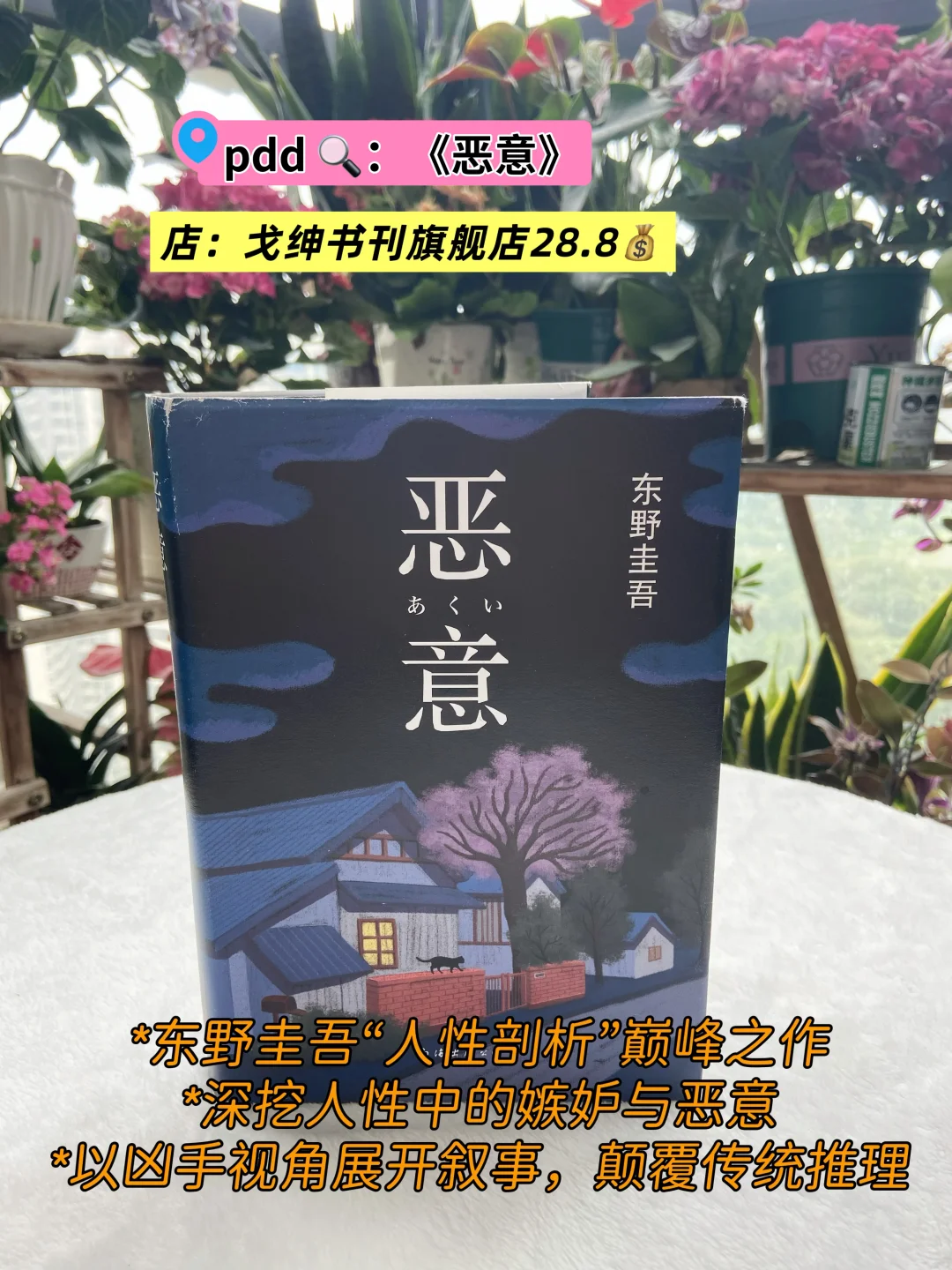 盘点高考后追过的那些书……