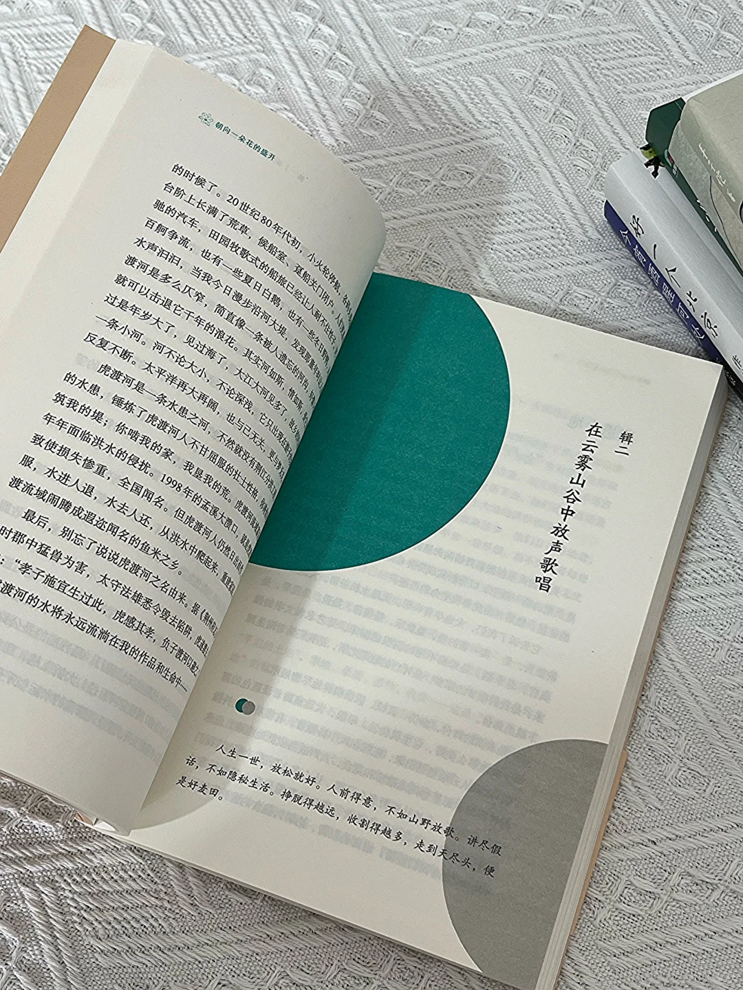 春日书单🍃翻看这几本书文笔真的会脱胎换骨