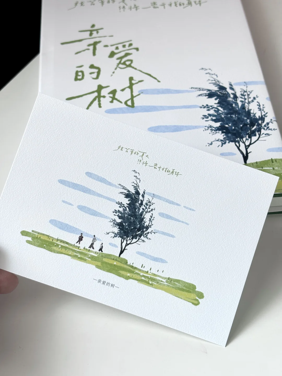 夏日诗集｜我苦等的夏天也终将离开我的身体