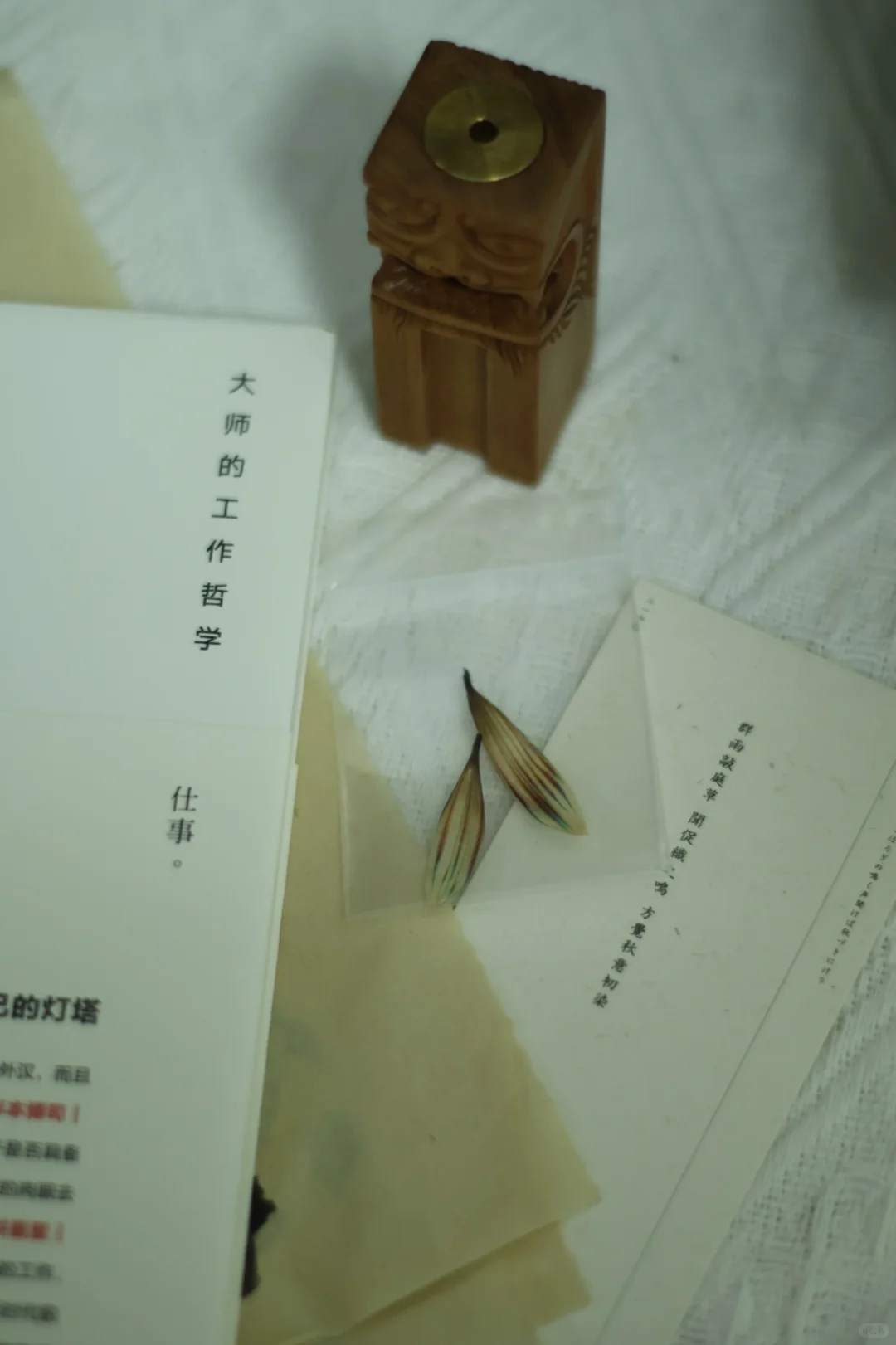 风景和书籍给予人能量