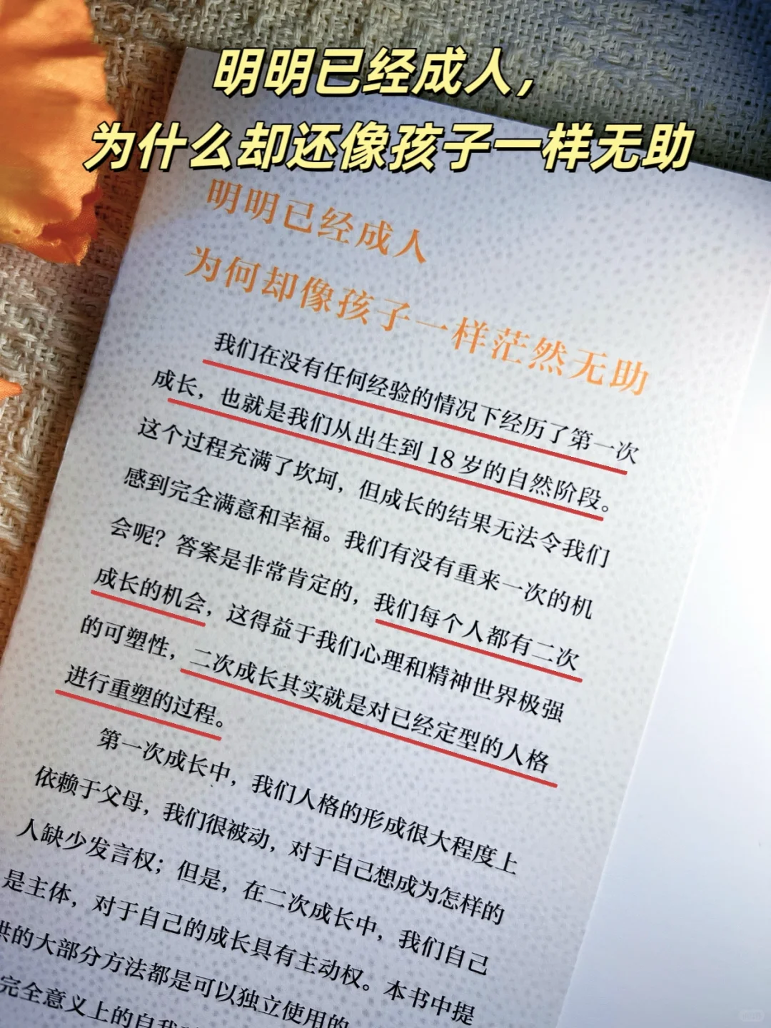 读完这本书，我终于把破碎的自己捡起来了