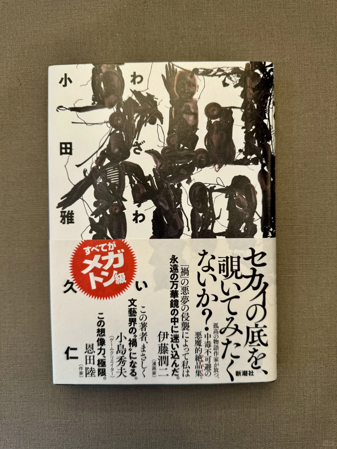 盘点2024年日本文学奖获奖作品