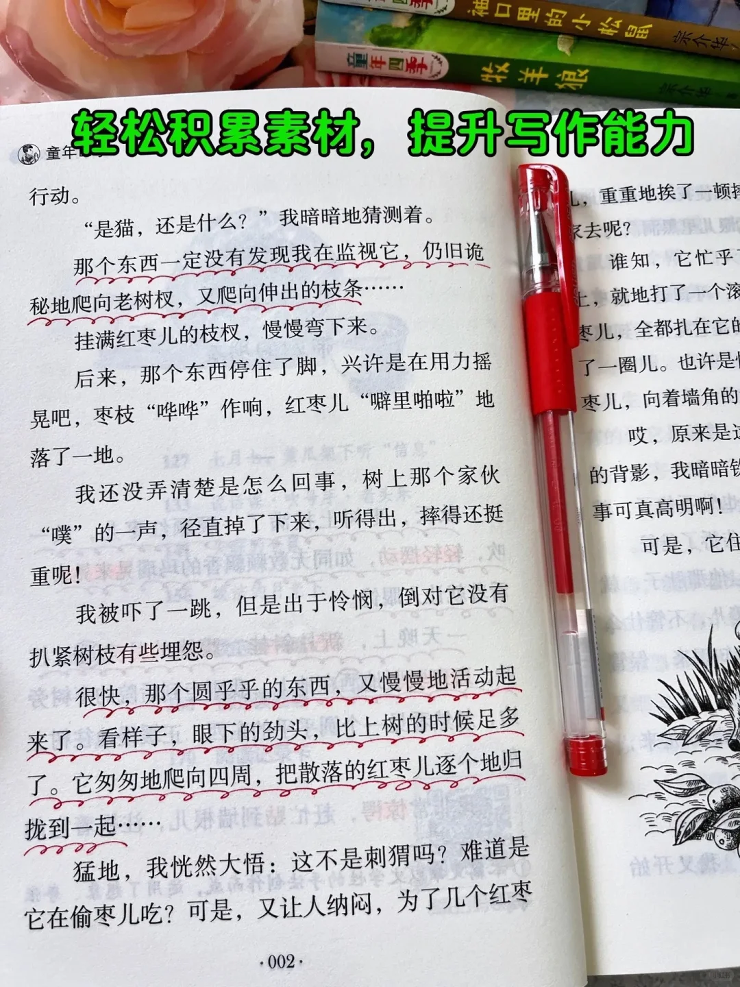 孩子阅读量少，就多读这本获奖文学作品❗