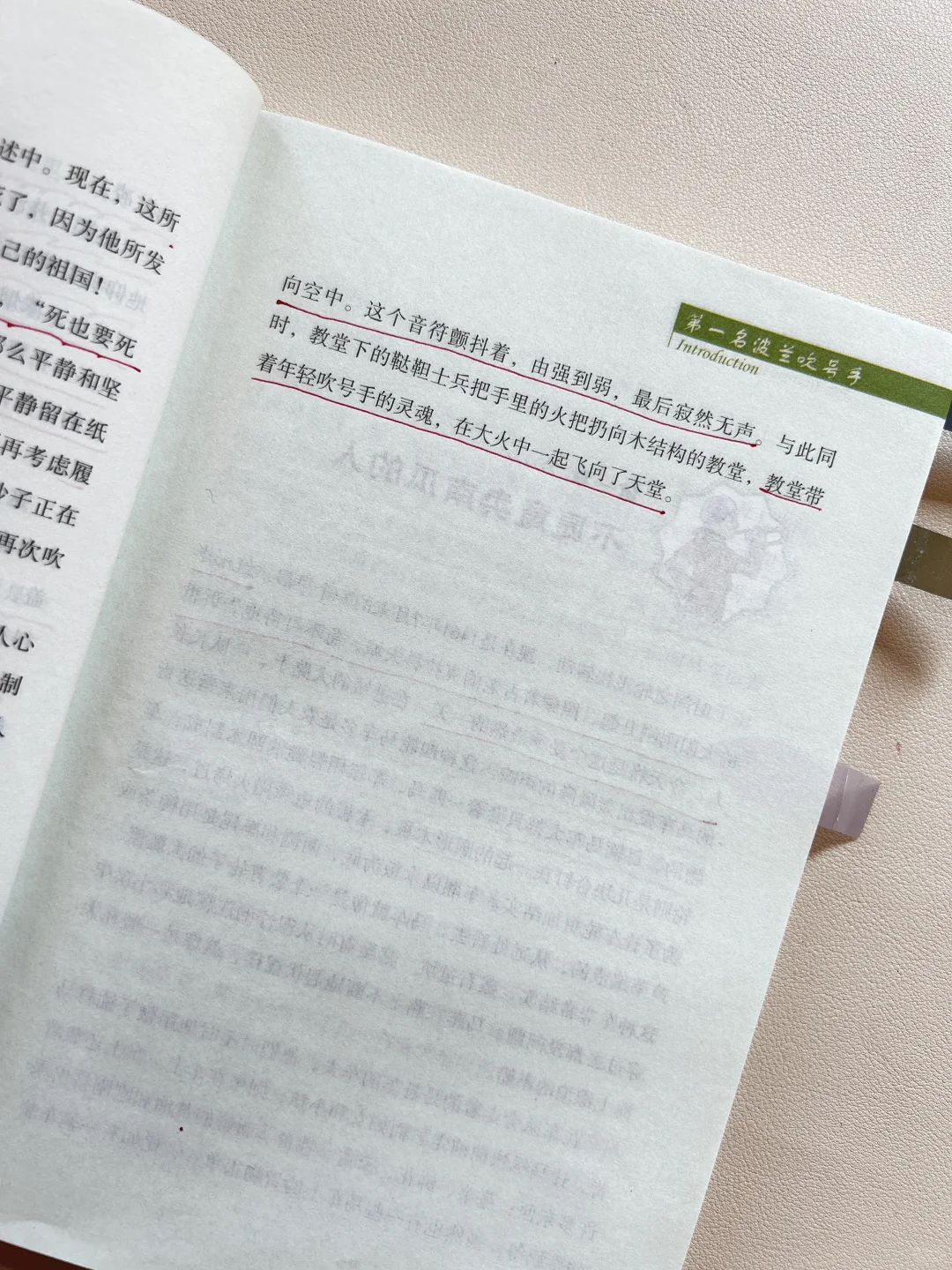 纽伯瑞儿童文学金奖，8-14岁必读高阶课外书
