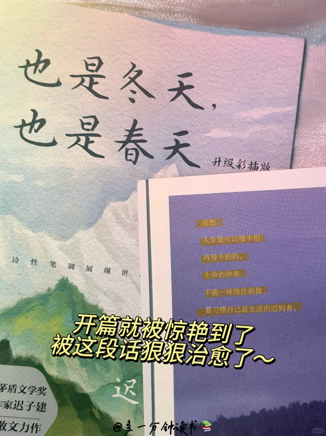 完全沦陷！我愿称之为散文天花板‼