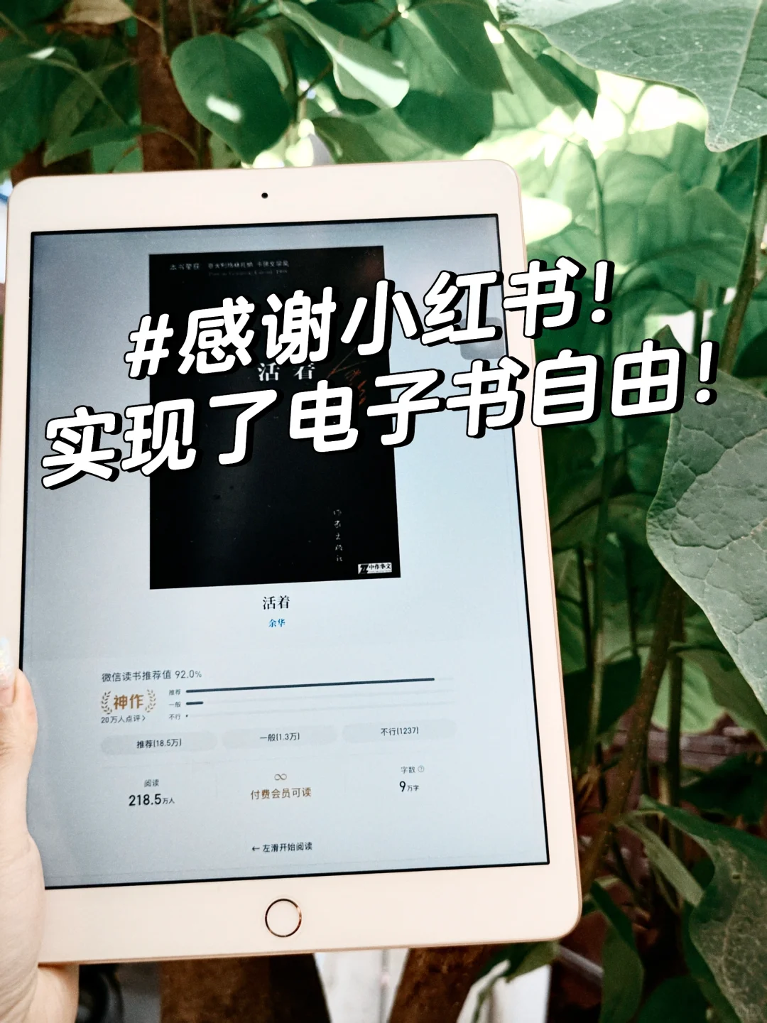 家人们谁懂啊！我实现电子书自由啦📖