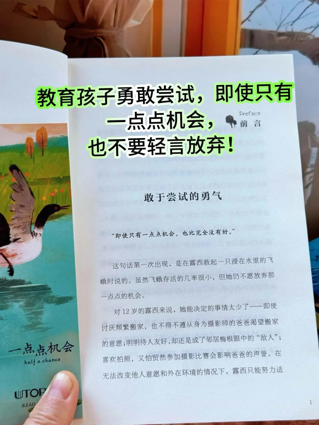 荣获众多奖项儿童文学 长青藤系列书籍🏆